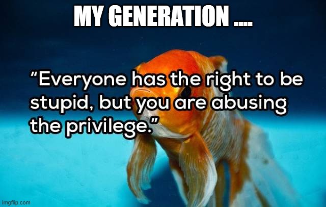 stupid | MY GENERATION .... | image tagged in stupid | made w/ Imgflip meme maker