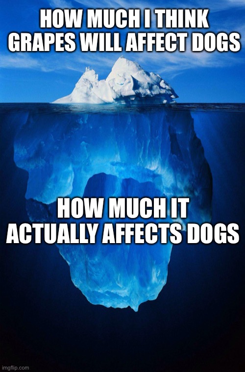 True | HOW MUCH I THINK GRAPES WILL AFFECT DOGS; HOW MUCH IT ACTUALLY AFFECTS DOGS | image tagged in iceberg,do not give dogs grapes,i am warning you,oh wow are you actually reading these tags | made w/ Imgflip meme maker