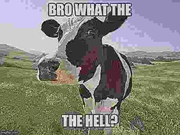 Bro what the the hell? | image tagged in bro what the the hell | made w/ Imgflip meme maker