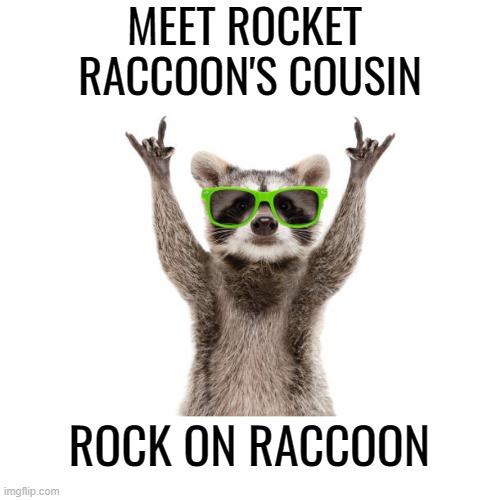 Rock on Raccoon | MEET ROCKET 
RACCOON'S COUSIN; ROCK ON RACCOON | image tagged in funny,animals,marvel | made w/ Imgflip meme maker