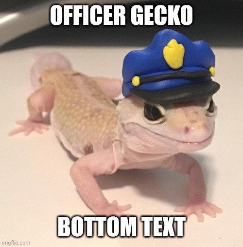 Officer Geck | OFFICER GECKO; BOTTOM TEXT | image tagged in officer geck | made w/ Imgflip meme maker