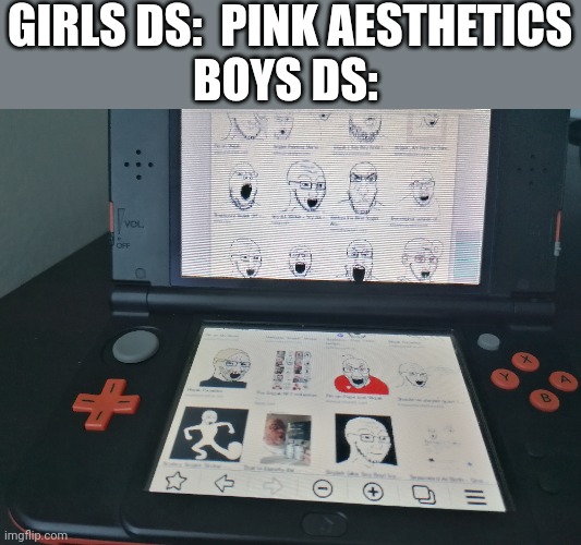 Girls Vs boys | GIRLS DS:  PINK AESTHETICS
BOYS DS: | image tagged in girls vs boys,nintendo ds,soyjak | made w/ Imgflip meme maker