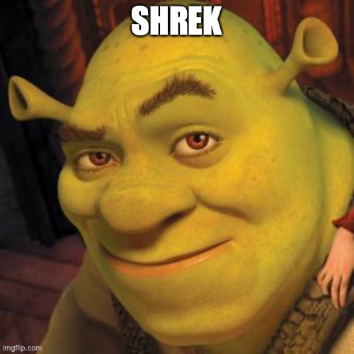 Shrek Sexy Face | SHREK | image tagged in shrek sexy face | made w/ Imgflip meme maker