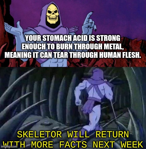 why did i never know this | YOUR STOMACH ACID IS STRONG ENOUCH TO BURN THROUGH METAL, MEANING IT CAN TEAR THROUGH HUMAN FLESH. SKELETOR WILL RETURN WITH MORE FACTS NEXT WEEK | image tagged in he man skeleton advices,memes,skeletor disturbing facts | made w/ Imgflip meme maker