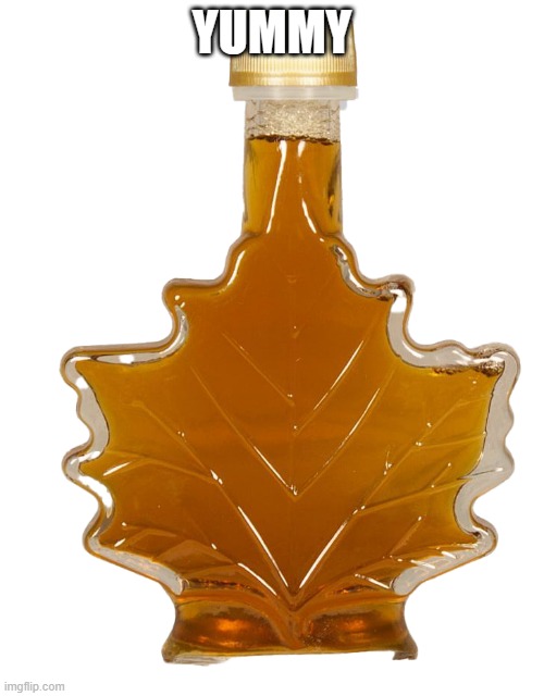A Bottle Of Maple Syrup | YUMMY | image tagged in a bottle of maple syrup | made w/ Imgflip meme maker
