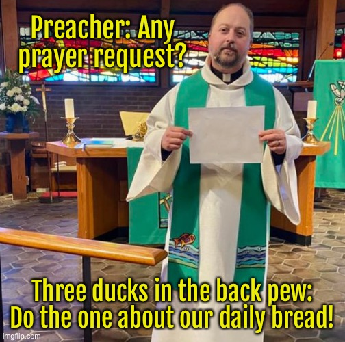 Prayer requests | Preacher: Any prayer request? Three ducks in the back pew: Do the one about our daily bread! | image tagged in it is a sin,preacher,prayer requests,ducks on back row,daily bread | made w/ Imgflip meme maker