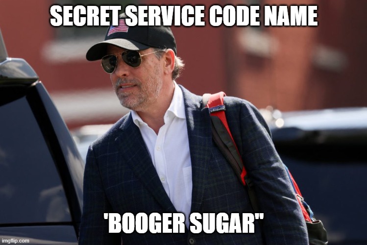 Booger Sugar | SECRET SERVICE CODE NAME; 'BOOGER SUGAR" | image tagged in joe biden,hunter biden | made w/ Imgflip meme maker