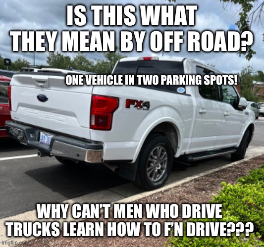Pickup Trucks Need Smarter Owners | IS THIS WHAT THEY MEAN BY OFF ROAD? ONE VEHICLE IN TWO PARKING SPOTS! WHY CAN’T MEN WHO DRIVE TRUCKS LEARN HOW TO F’N DRIVE??? | image tagged in pickup trucks,parking,terrible drivers,ford f-150,pickup | made w/ Imgflip meme maker