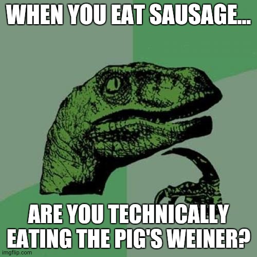 hmmmmm.... | WHEN YOU EAT SAUSAGE... ARE YOU TECHNICALLY EATING THE PIG'S WEINER? | image tagged in memes,philosoraptor,sus,hmmm,hmmmmmmm,pigs | made w/ Imgflip meme maker