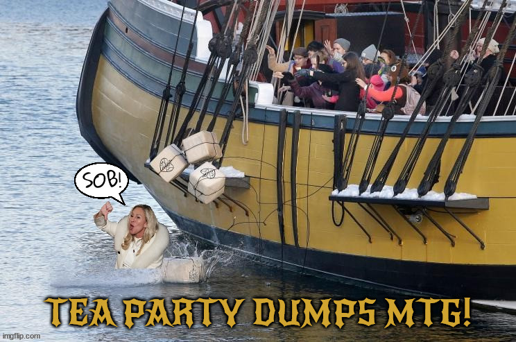Freedumb Caucus | SOB! TEA PARTY DUMPS MTG! | image tagged in freedom caucus,mtg,booted,marjorie greene,maga,tea party | made w/ Imgflip meme maker