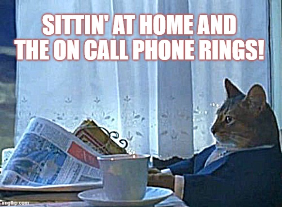 I Should Buy A Boat Cat | SITTIN' AT HOME AND THE ON CALL PHONE RINGS! | image tagged in memes,i should buy a boat cat | made w/ Imgflip meme maker