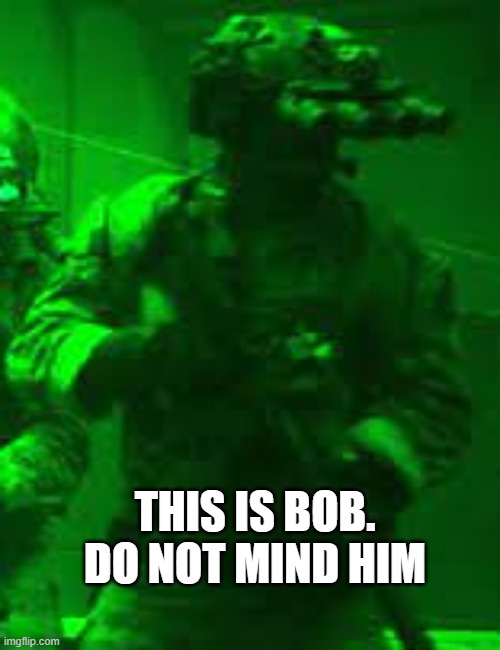 pp | THIS IS BOB. DO NOT MIND HIM | image tagged in navy seal 1 | made w/ Imgflip meme maker