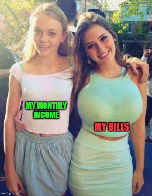 MY MONTHLY
INCOME; MY BILLS | image tagged in bills | made w/ Imgflip meme maker