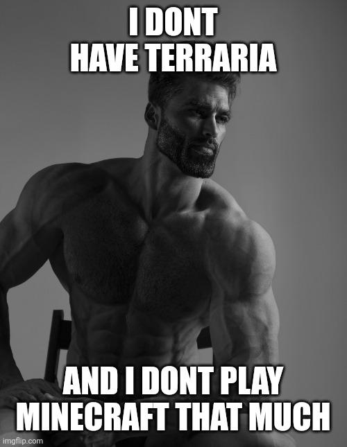 Giga Chad | I DONT HAVE TERRARIA AND I DONT PLAY MINECRAFT THAT MUCH | image tagged in giga chad | made w/ Imgflip meme maker