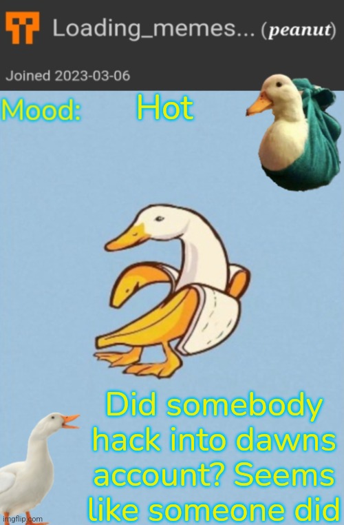Seems like it | Hot; Did somebody hack into dawns account? Seems like someone did | image tagged in loading_memes banana-duck announcement template | made w/ Imgflip meme maker