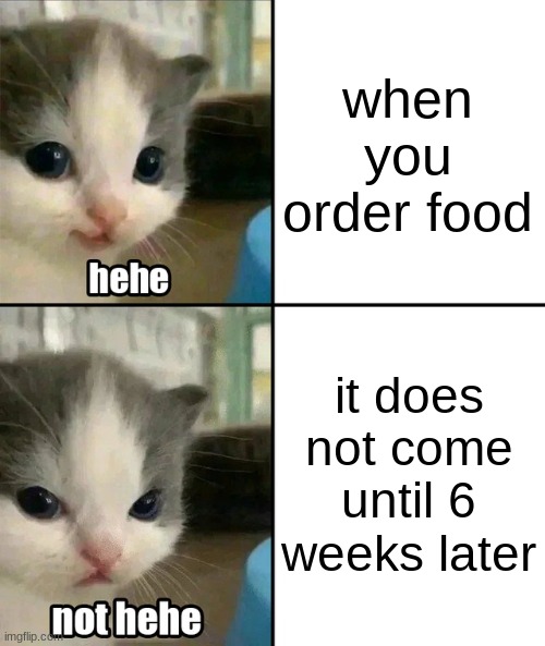 (joke it never happened) | when you order food; it does not come until 6 weeks later | image tagged in fr fr,haha,ong ong | made w/ Imgflip meme maker