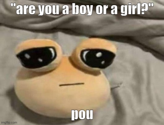 now for the gender of the pou | "are you a boy or a girl?"; pou | image tagged in pou | made w/ Imgflip meme maker