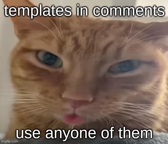 im gonna make more in the future and put them here | templates in comments; use anyone of them | image tagged in drooling cat,new template | made w/ Imgflip meme maker