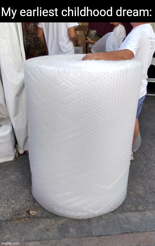 I wish I could take it home | My earliest childhood dream: | image tagged in memes,relatable,childhood,bubble wrap,longing | made w/ Imgflip meme maker