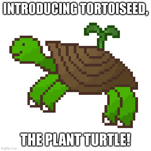 Tortoiseed | INTRODUCING TORTOISEED, THE PLANT TURTLE! | image tagged in tortoiseed | made w/ Imgflip meme maker
