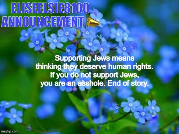 EliseElsie8100 Announcement | Supporting Jews means thinking they deserve human rights. If you do not support Jews, you are an asshole. End of story. | image tagged in eliseelsie8100 announcement | made w/ Imgflip meme maker