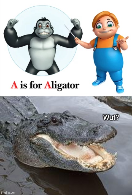 *Alligator (not really) | Wut? | image tagged in alligator wut,spelling error,alligator,you had one job,memes,a | made w/ Imgflip meme maker