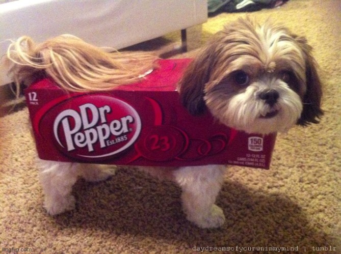 Dr Pepper Costume | image tagged in dr pepper costume | made w/ Imgflip meme maker