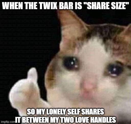 It's A Fattening but Peaceful Life | WHEN THE TWIX BAR IS "SHARE SIZE"; SO MY LONELY SELF SHARES IT BETWEEN MY TWO LOVE HANDLES | image tagged in sad thumbs up cat | made w/ Imgflip meme maker