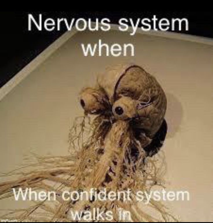 image tagged in memes | made w/ Imgflip meme maker