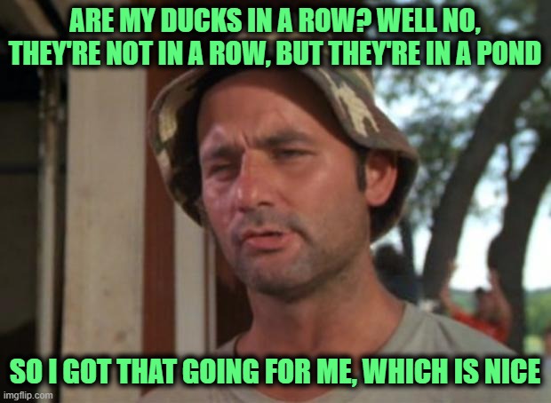 So I Got That Goin For Me Which Is Nice Meme | ARE MY DUCKS IN A ROW? WELL NO, THEY'RE NOT IN A ROW, BUT THEY'RE IN A POND; SO I GOT THAT GOING FOR ME, WHICH IS NICE | image tagged in memes,so i got that goin for me which is nice | made w/ Imgflip meme maker
