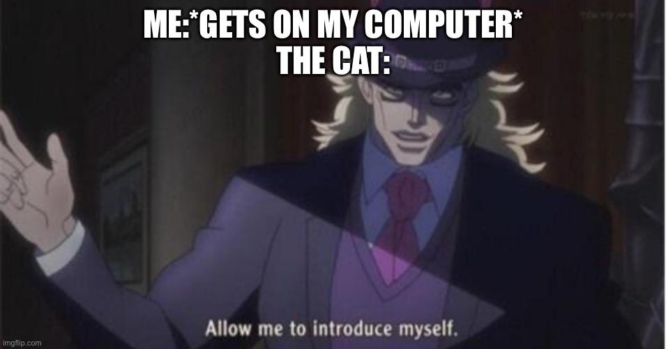 It’s so annoying when he gets on the keyboard | ME:*GETS ON MY COMPUTER*
THE CAT: | image tagged in allow me to introduce myself jojo | made w/ Imgflip meme maker