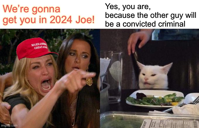 Right-wing rage | Yes, you are, because the other guy will be a convicted criminal; We’re gonna get you in 2024 Joe! | image tagged in memes,woman yelling at cat,maga | made w/ Imgflip meme maker
