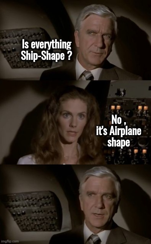 Looks like I picked the wrong week | Is everything Ship-Shape ? No , it's Airplane shape | image tagged in airplane what is it,inside joke,well yes but actually no,us navy,flying | made w/ Imgflip meme maker