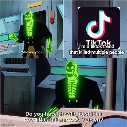 Do You Have the Slightest Idea How Little That Narrows It Down? | i'm a tiktok trend that killed multiple people | image tagged in do you have the slightest idea how little that narrows it down | made w/ Imgflip meme maker