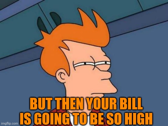 Futurama Fry Meme | BUT THEN YOUR BILL IS GOING TO BE SO HIGH | image tagged in memes,futurama fry | made w/ Imgflip meme maker