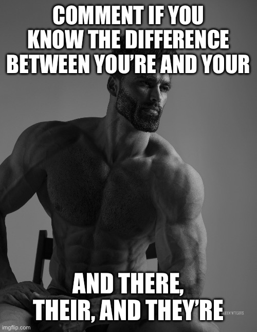 Giga Chad | COMMENT IF YOU KNOW THE DIFFERENCE BETWEEN YOU’RE AND YOUR; AND THERE, THEIR, AND THEY’RE | image tagged in giga chad | made w/ Imgflip meme maker