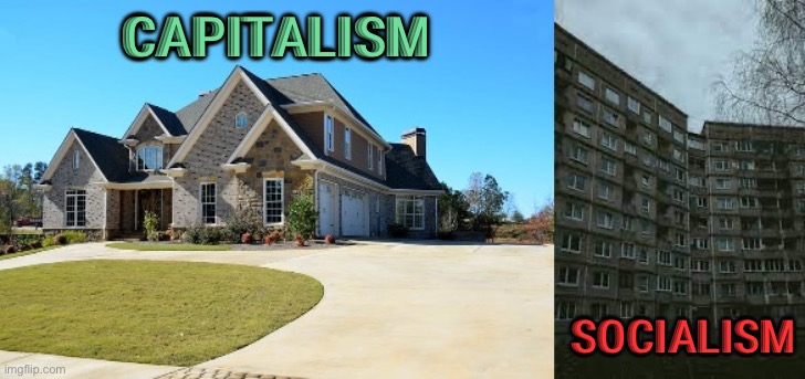 CAPITALISM AND SOCIALISM | CAPITALISM; SOCIALISM | image tagged in housing | made w/ Imgflip meme maker