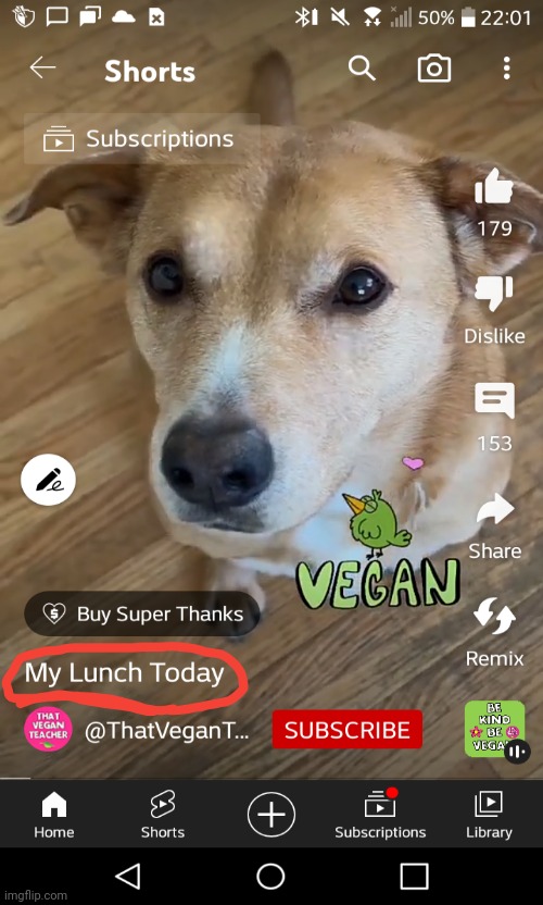 That didn't age too well | image tagged in that vegan teacher,dogs | made w/ Imgflip meme maker