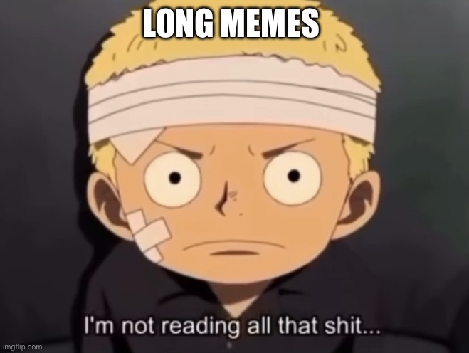 I’m not reading all that shit… | LONG MEMES | image tagged in i m not reading all that shit | made w/ Imgflip meme maker