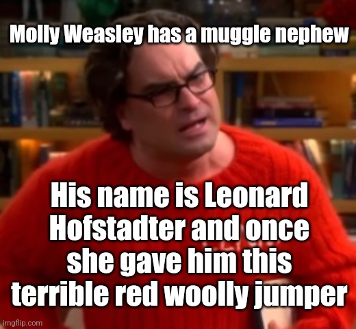 Molly Weasley's Jumpers | Molly Weasley has a muggle nephew; His name is Leonard Hofstadter and once she gave him this terrible red woolly jumper | image tagged in molly weasley,leonard hofstadter,jumper,harry potter | made w/ Imgflip meme maker