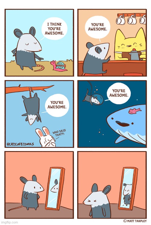 image tagged in possum,snail,cat,rabbit,whale,mirror | made w/ Imgflip meme maker
