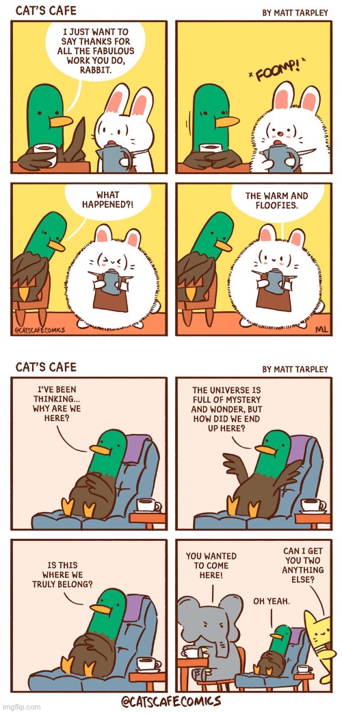 Two comics I forgot to post | image tagged in duck,rabbit,contemplating,elephant,cat | made w/ Imgflip meme maker
