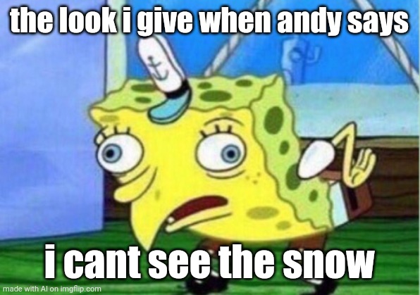 Who the hell  is andy? | the look i give when andy says; i cant see the snow | image tagged in memes,mocking spongebob | made w/ Imgflip meme maker