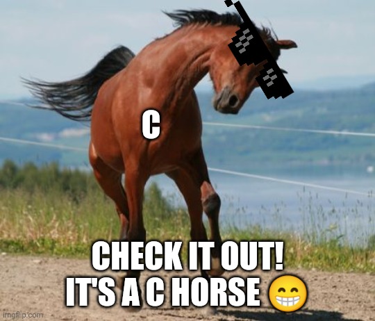 Horse | C; CHECK IT OUT! IT'S A C HORSE 😁 | image tagged in horse | made w/ Imgflip meme maker