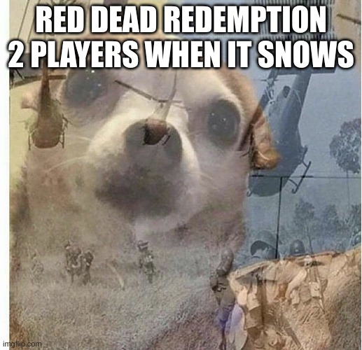 PTSD Chihuahua | RED DEAD REDEMPTION 2 PLAYERS WHEN IT SNOWS | image tagged in ptsd chihuahua,snow,snow day,gaming,fun | made w/ Imgflip meme maker