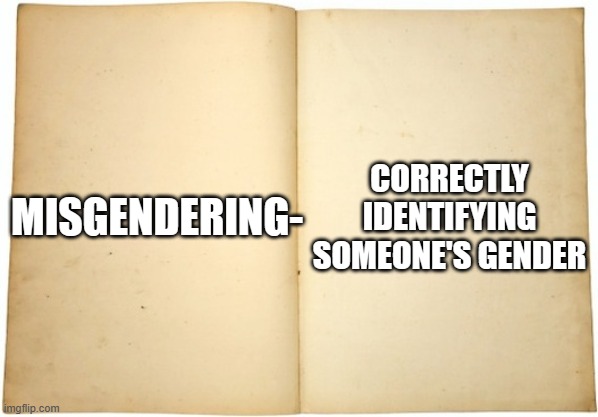 Dictionary meme | CORRECTLY IDENTIFYING SOMEONE'S GENDER; MISGENDERING- | image tagged in dictionary meme | made w/ Imgflip meme maker