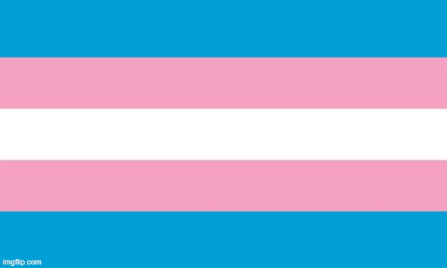 Transgender Flag | image tagged in transgender flag | made w/ Imgflip meme maker