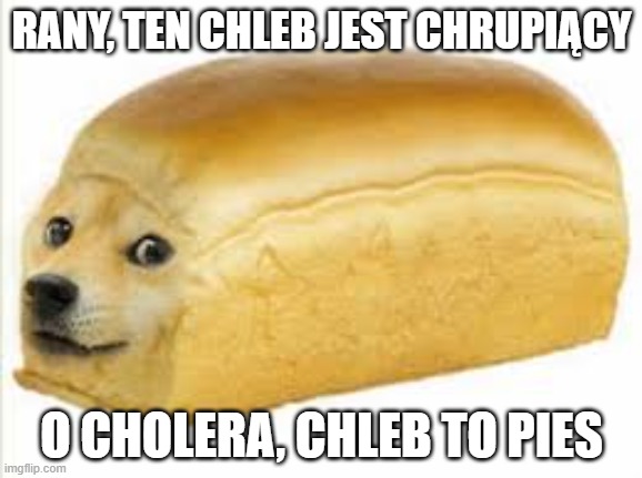 Doge bread | RANY, TEN CHLEB JEST CHRUPIĄCY; O CHOLERA, CHLEB TO PIES | image tagged in doge bread,polish | made w/ Imgflip meme maker