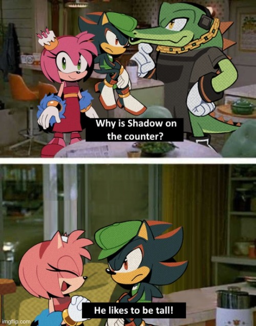 wyh he so shortb in tmosth | made w/ Imgflip meme maker