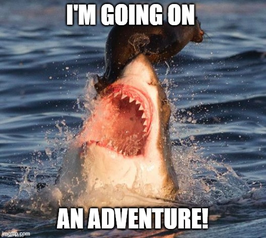 Travelonshark Meme | I'M GOING ON; AN ADVENTURE! | image tagged in memes,travelonshark | made w/ Imgflip meme maker